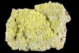 Sulfur Crystal Cluster on Matrix - Nevada #129749-1